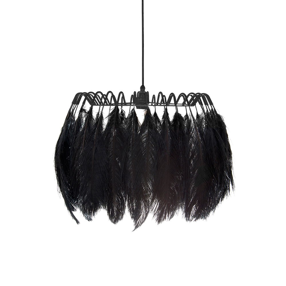 Black feather store ceiling light